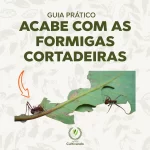 Capa Guia Prático Acabe com Formigas Cortadeiras - 600 x 600 px webp