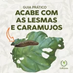 Capa Guia Prático Lesmas Caramujos e Caracois - 600 x 600 px