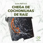 Capa Quadrada 600 x 600 webp
