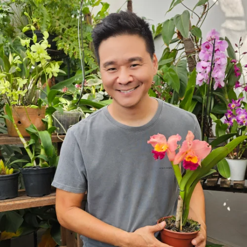 Eng. Agrônomo Gaspar Yamasaki segurando orquídea Cattleya florida
