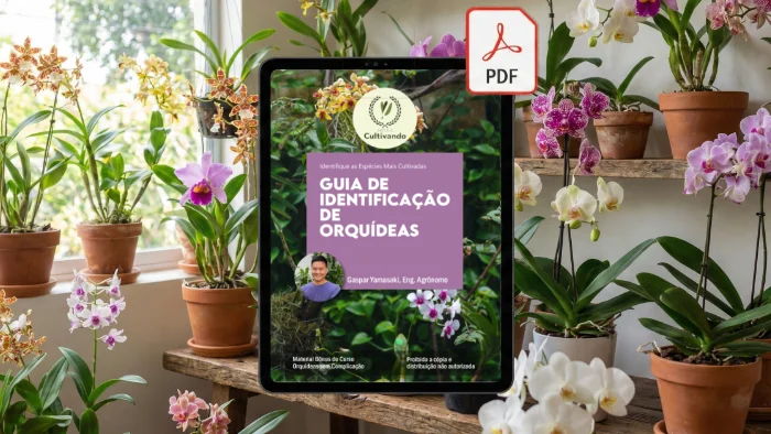 E-book de Guia de identificação de espécies de orquídeas.