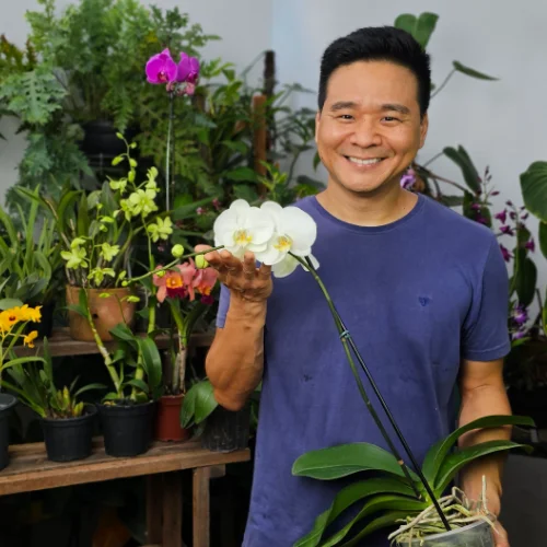 Eng. Agrônomo Gaspar Yamasaki segurando orquídea phalaenopsis florida