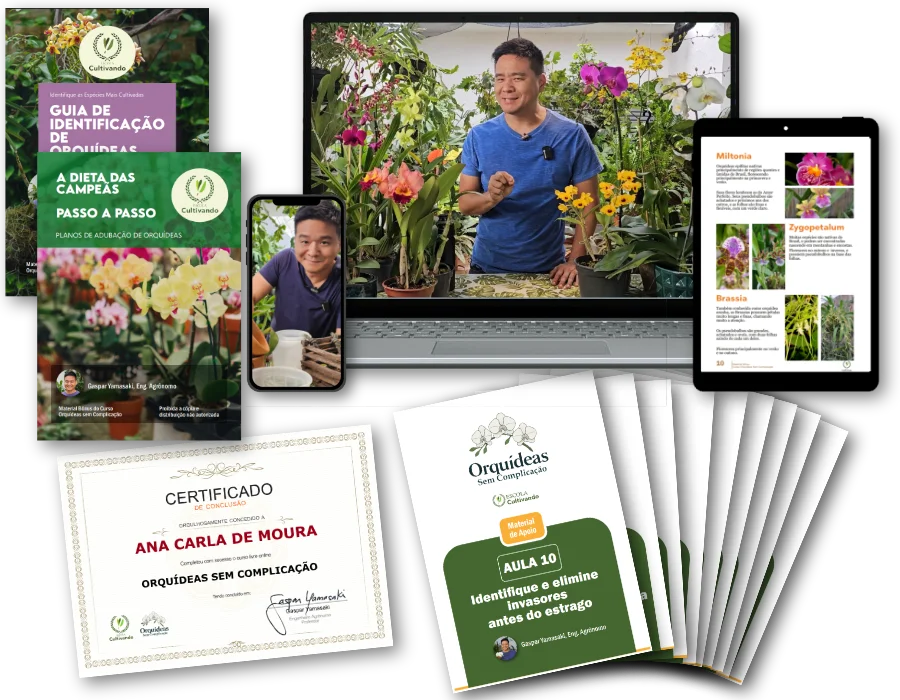 Mockup com todos os itens do curso online de cultivo de orquídeas Orquídeas Sem Complicação